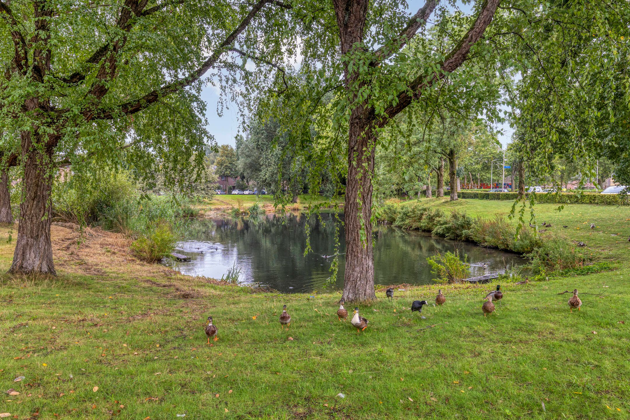 Photo 33 of Lankforst 1120