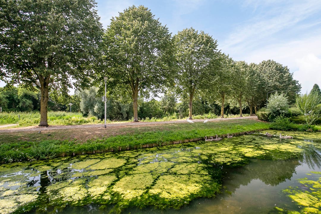 Photo 8 of Kasteel-Noord 67