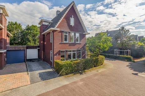Braambergerhout thumbnail
