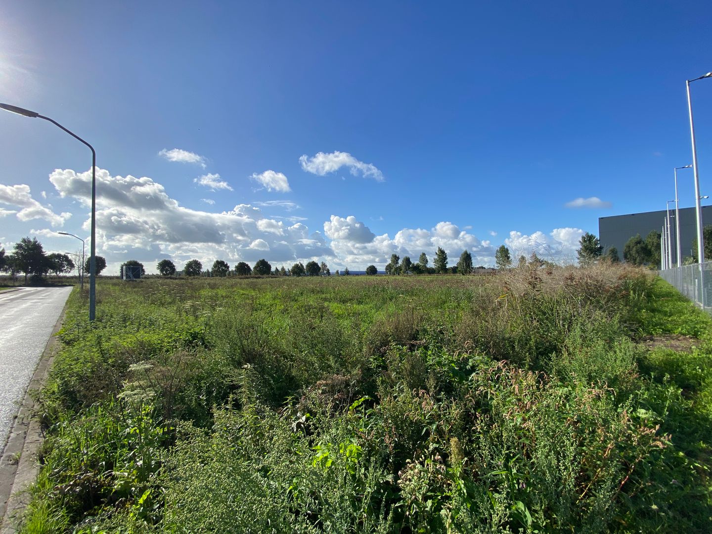 Bekijk foto 4 van Meerkoetenweg 6