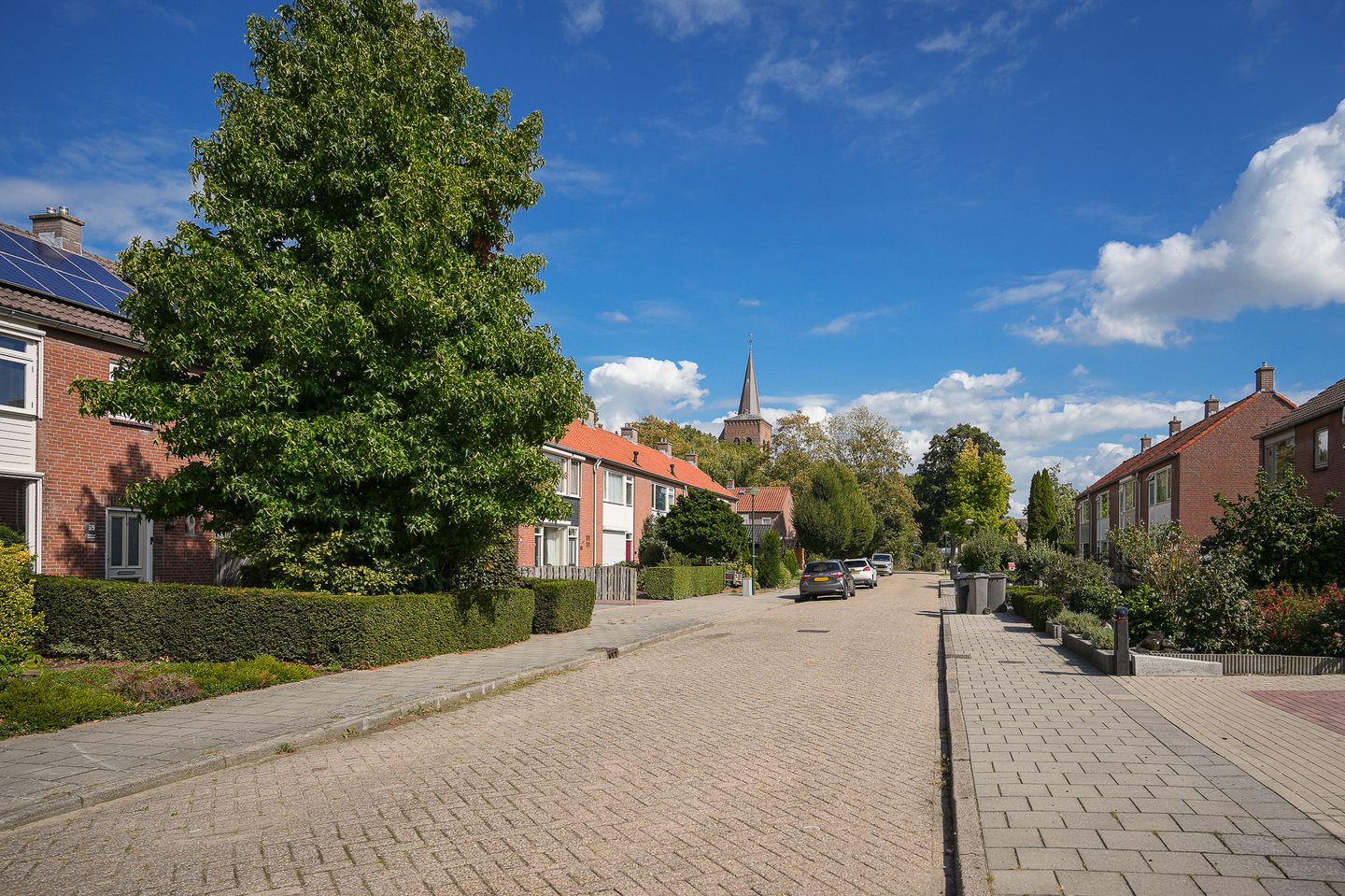 Photo 50 of Rozenstraat 59