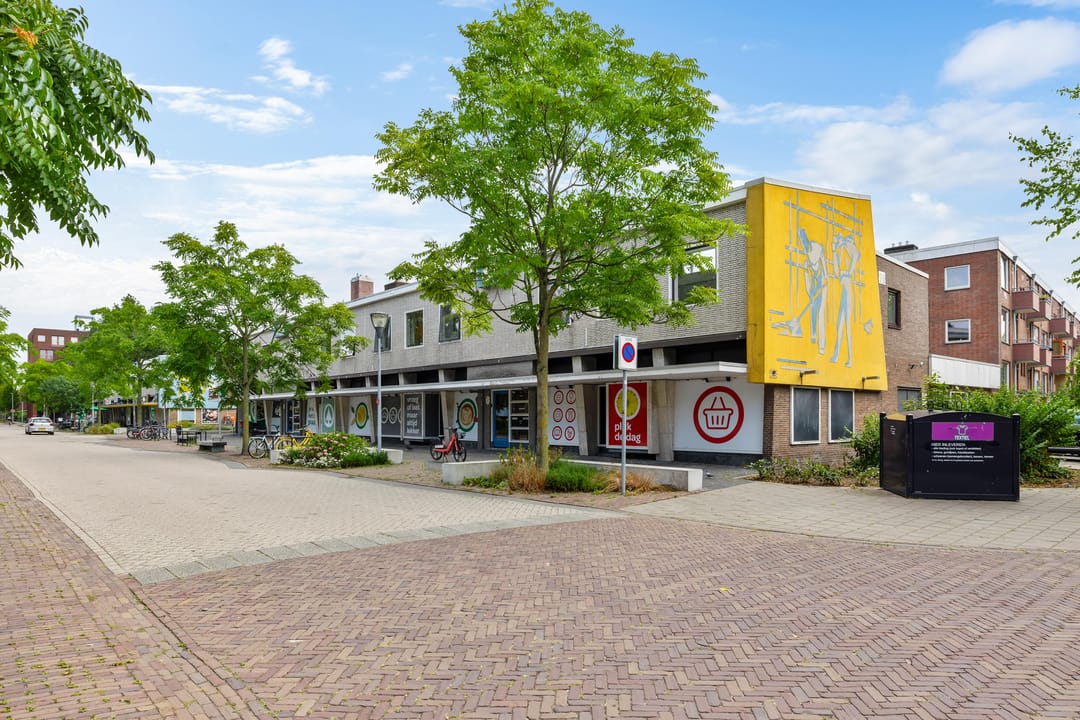 Foto 46 van Jacob van Ruysdaelstraat 75