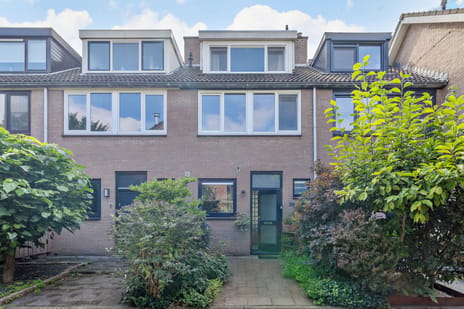Esdoornstraat thumbnail