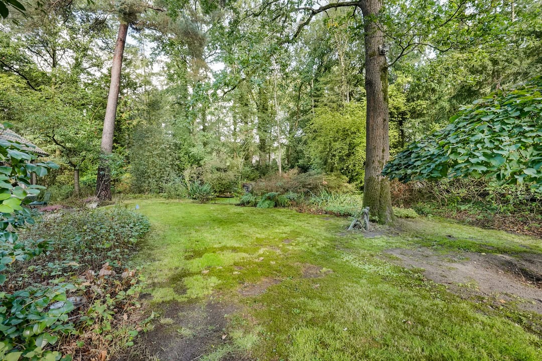 Photo 32 of Sparrenlaan 14
