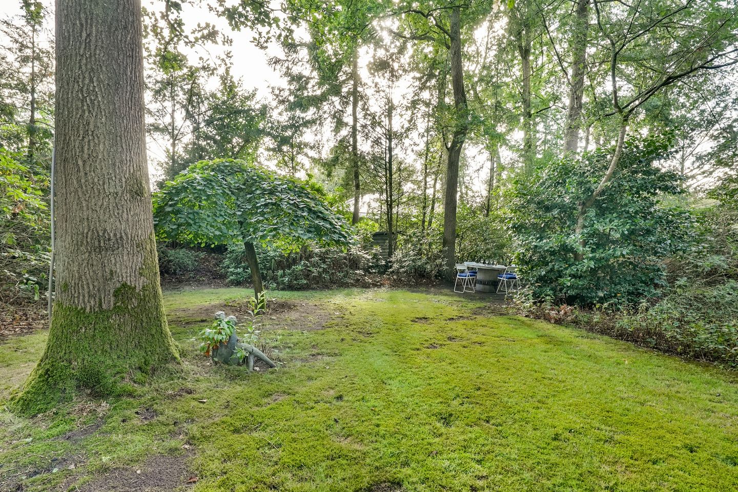 Photo 34 of Sparrenlaan 14