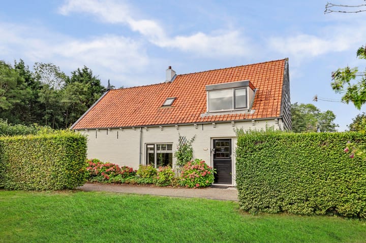 Vrijstaande woning te koop: Voet- of Kraagweg 14, Rockanje