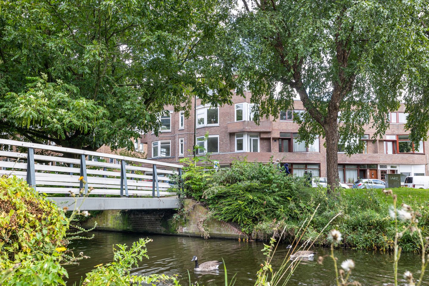 Foto 4 van Swammerdamsingel 27-B1