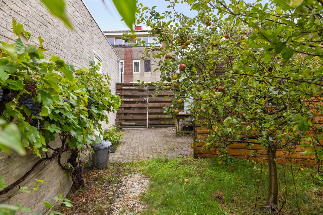 Foto 46 van De Tuinen 17
