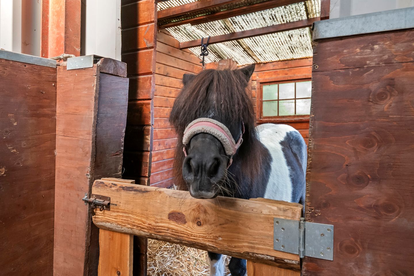 Photo 25 of De Steeg 3