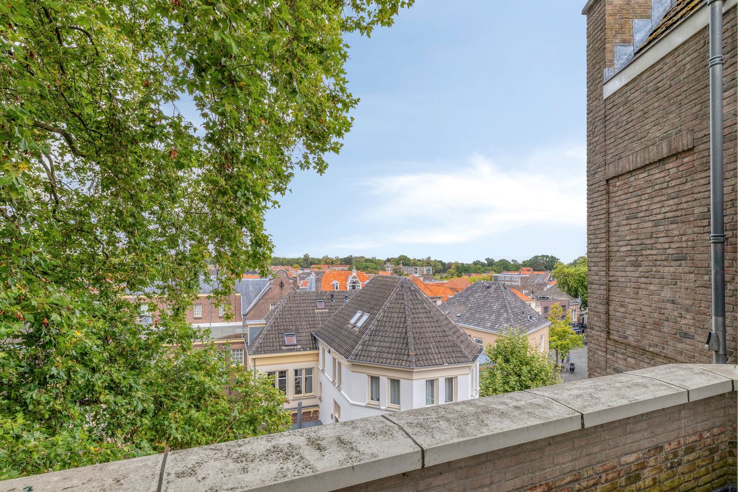 Photo 55 of Thaliaplein 4