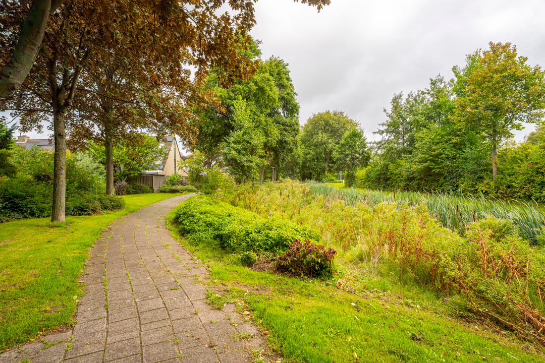 Foto 46 van Vloedstroom 1
