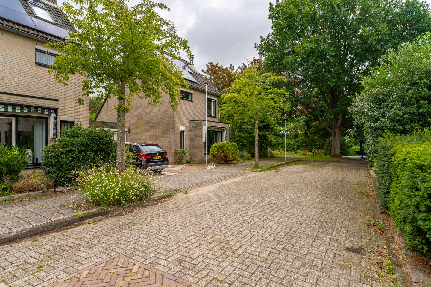 Foto 44 van Vloedstroom 1