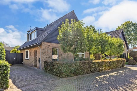 Hazelaarstraat thumbnail