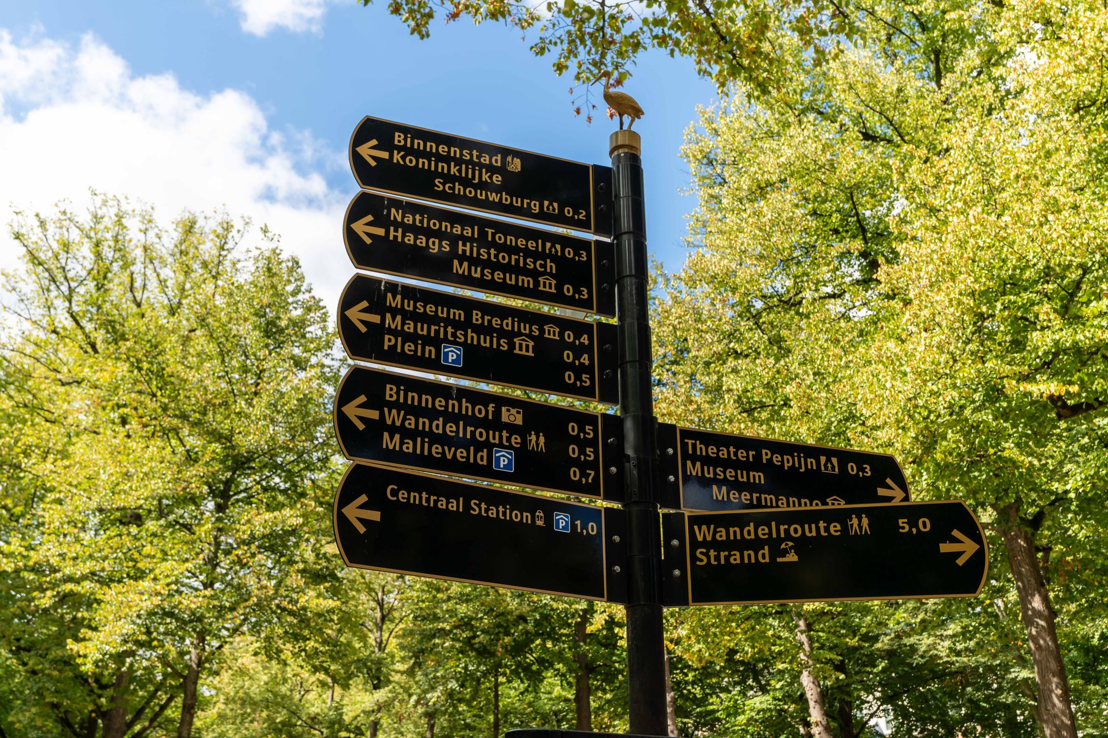 Photo 6 of Lange Voorhout 70