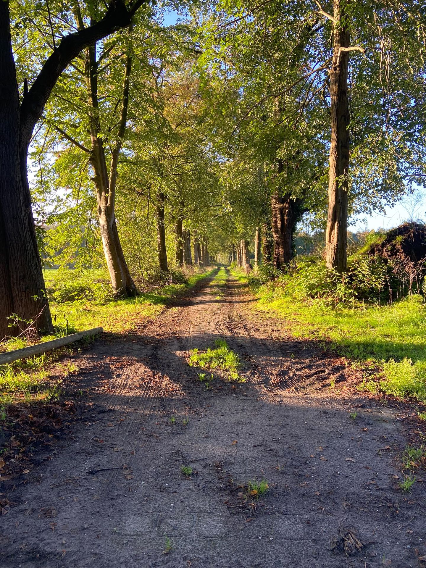 Photo 49 of van Rijckevorsellaan 8