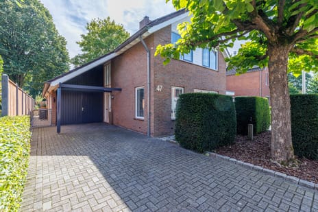 De Zwaan thumbnail