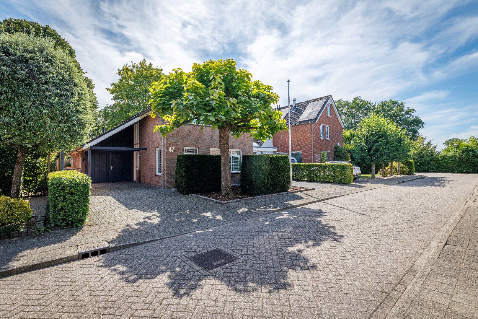 Foto 48 van De Zwaan 47