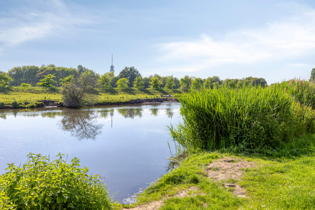 Photo 67 of Kapellerlaan 259