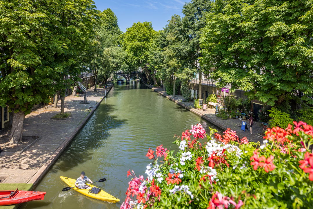 Photo 56 of Haverstraat 27