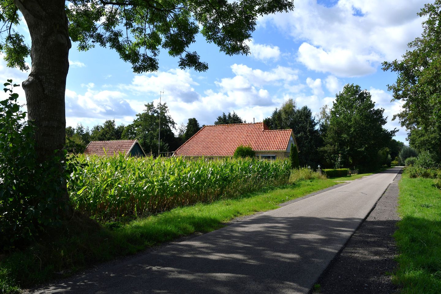 Foto 40 van Langewijk 17