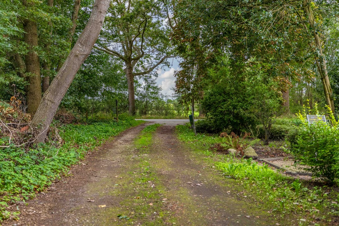 Foto 38 van Boskwei 2