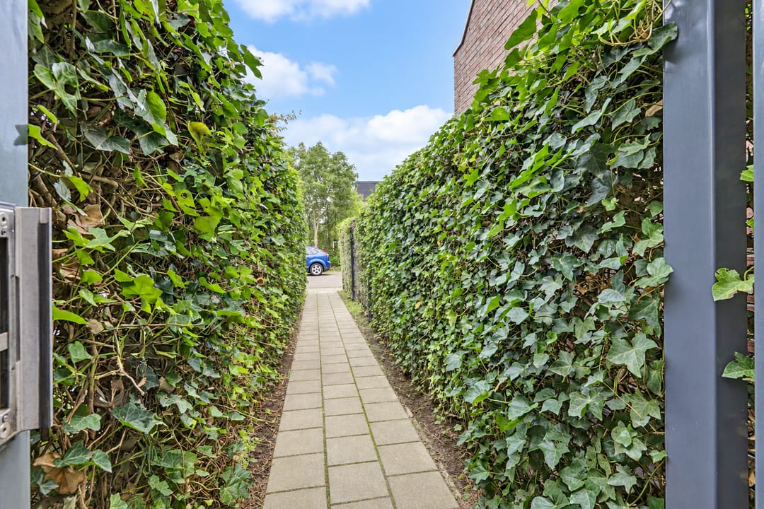 Photo 37 of Bomenbeemd 36