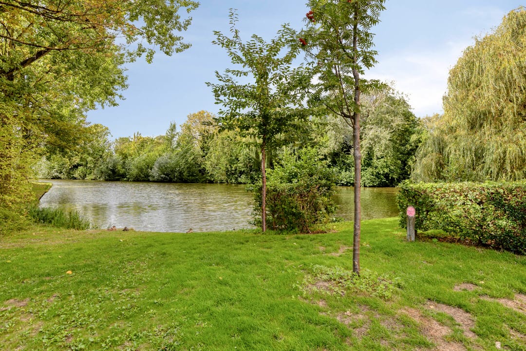 Photo 31 of Van Bosseplantsoen 136