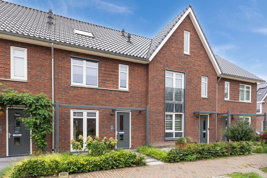 Foto 1 van Boommarter 37