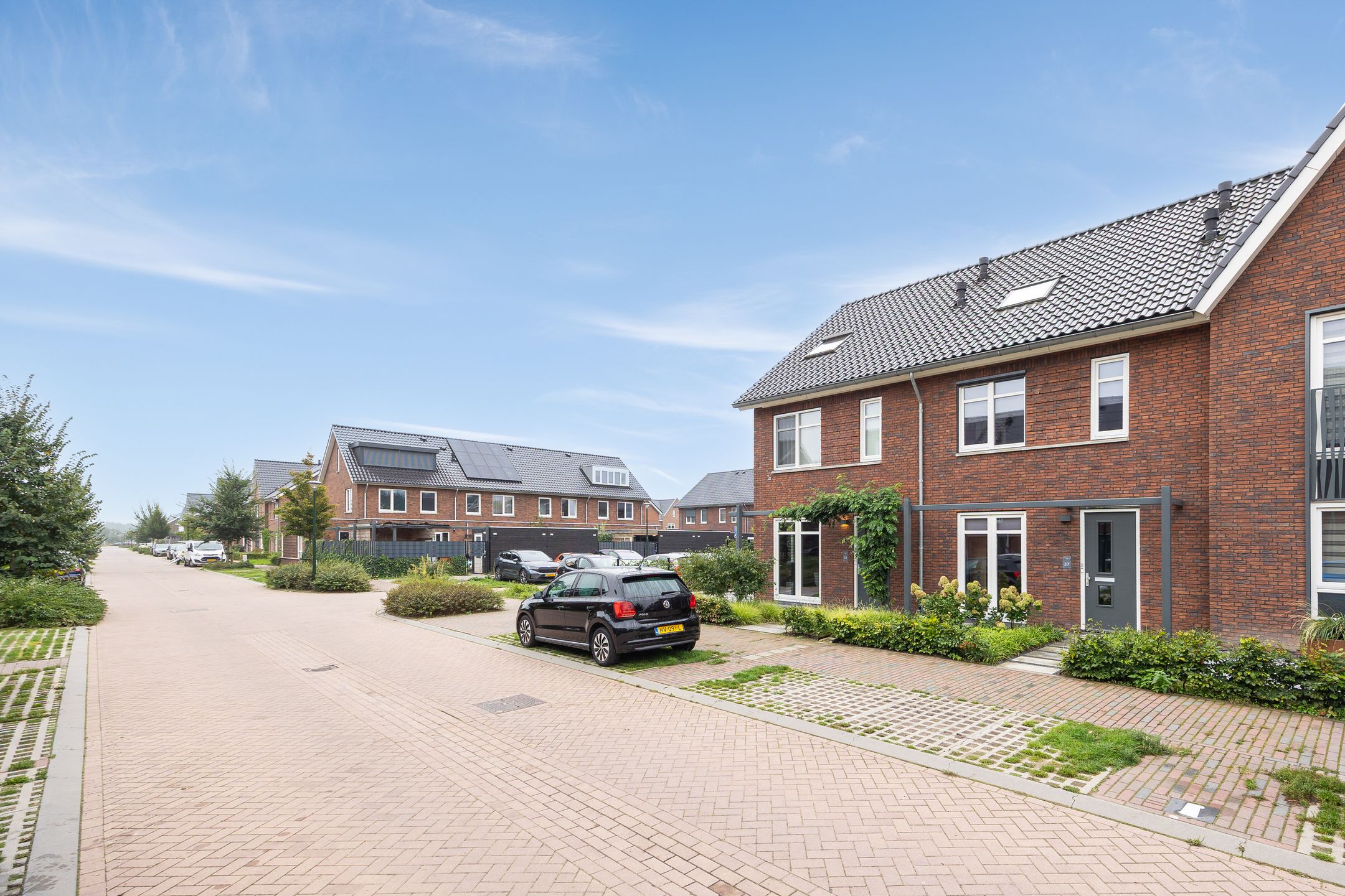 Foto 42 van Boommarter 37
