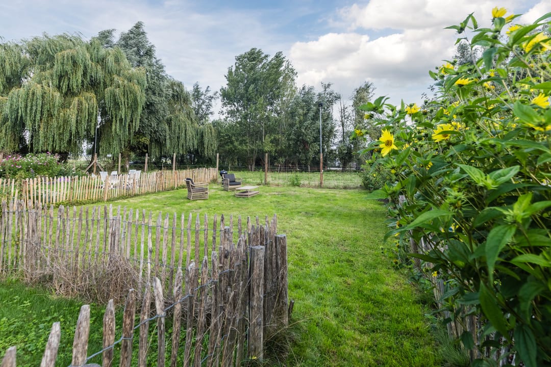 Photo 38 of Singel 15