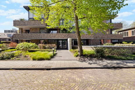 Jan Steenstraat thumbnail