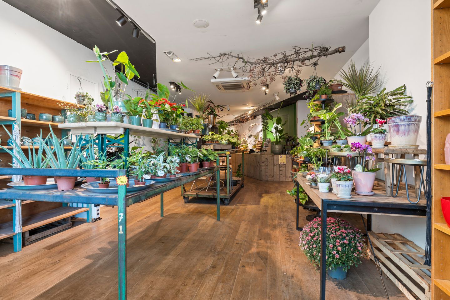 Bekijk foto 5 van Bergstraat 4