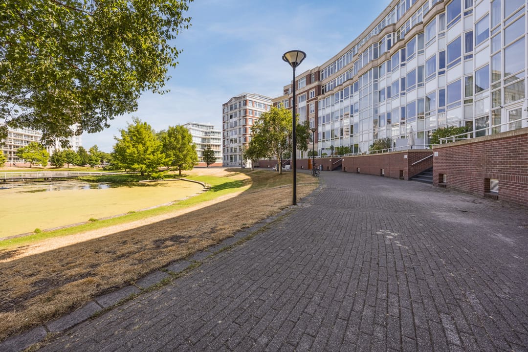 Photo 8 of Burgemeester De Monchyplein 141