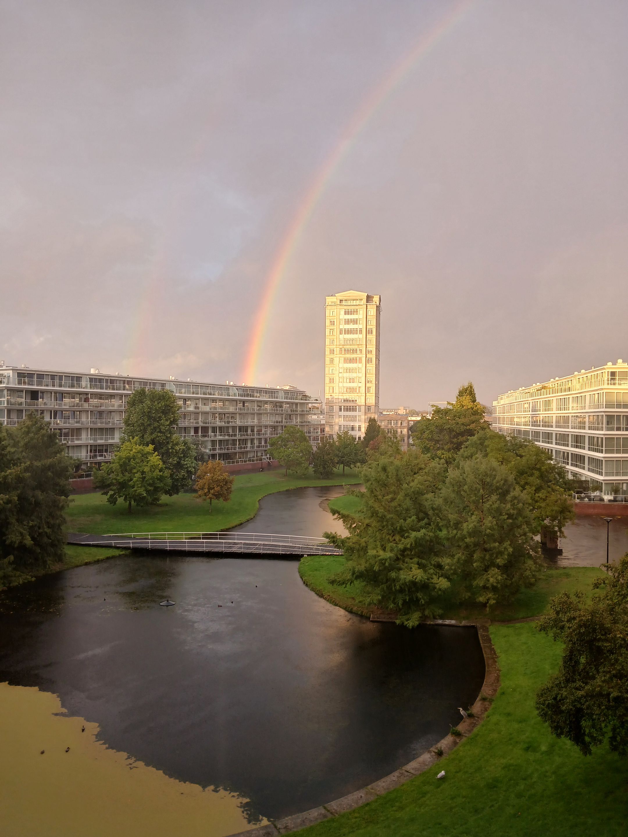 Photo 3 of Burgemeester De Monchyplein 141