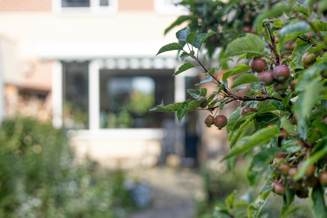 Foto 43 van Zonnebloempad 34