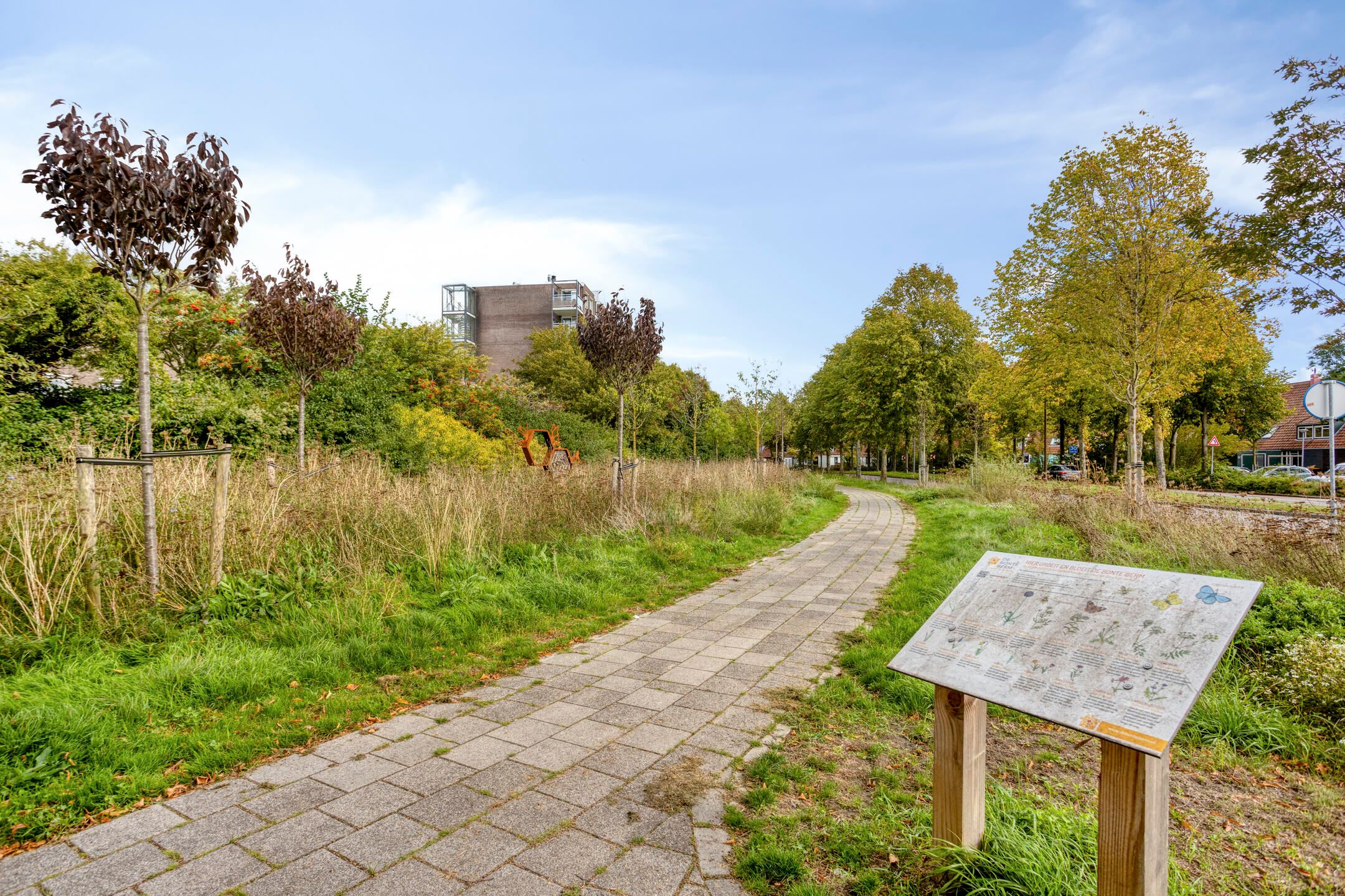 Photo 45 of Moraviëstraat 17