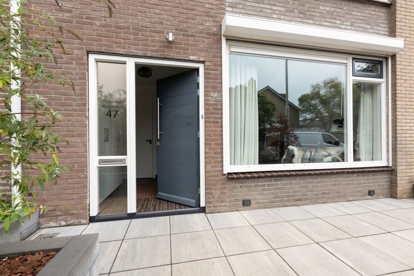Foto 4 van Dahliastraat 47