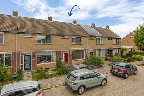 Ferdinand Bolstraat thumbnail