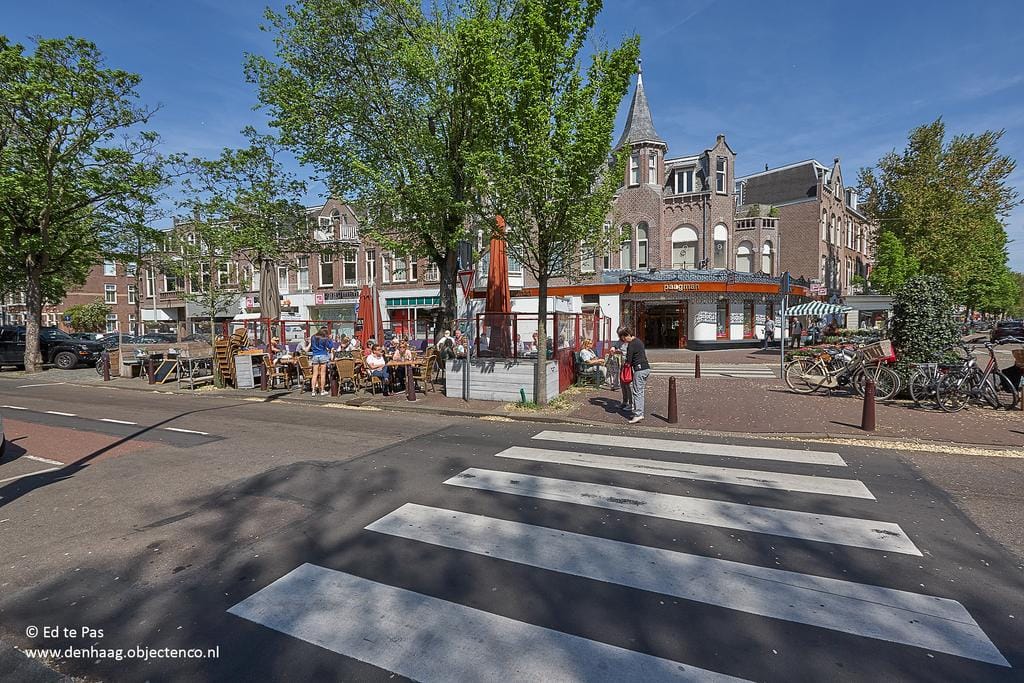 Foto 38 van Stadhoudersplantsoen 248-C