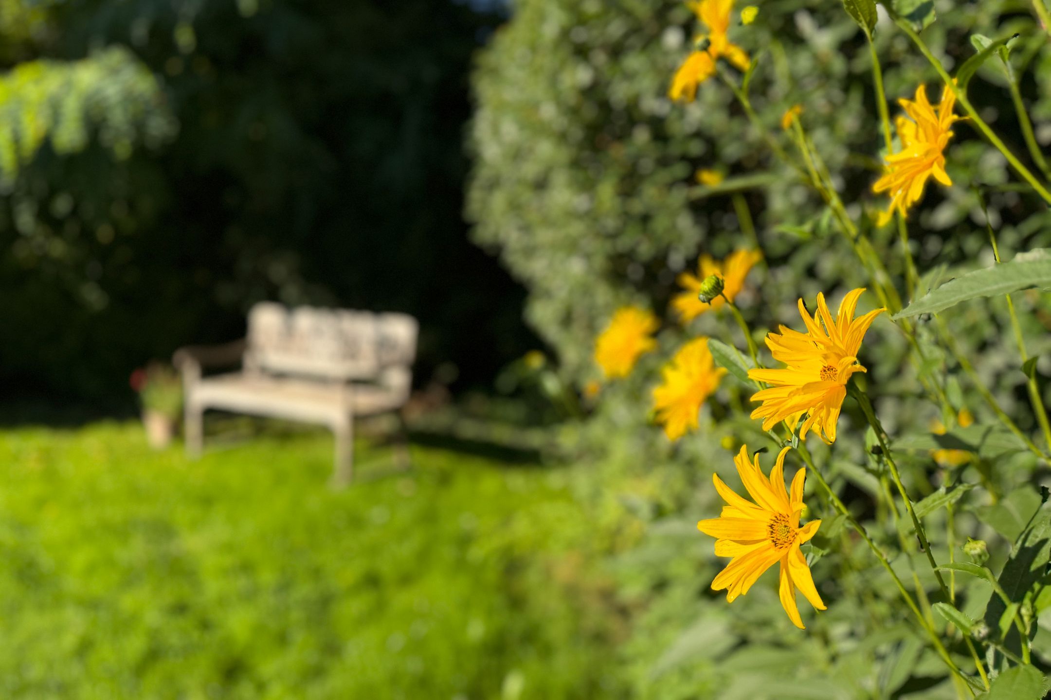 Foto 42 van Eisenhowersingel 33