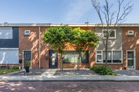 Steenvlietstraat thumbnail