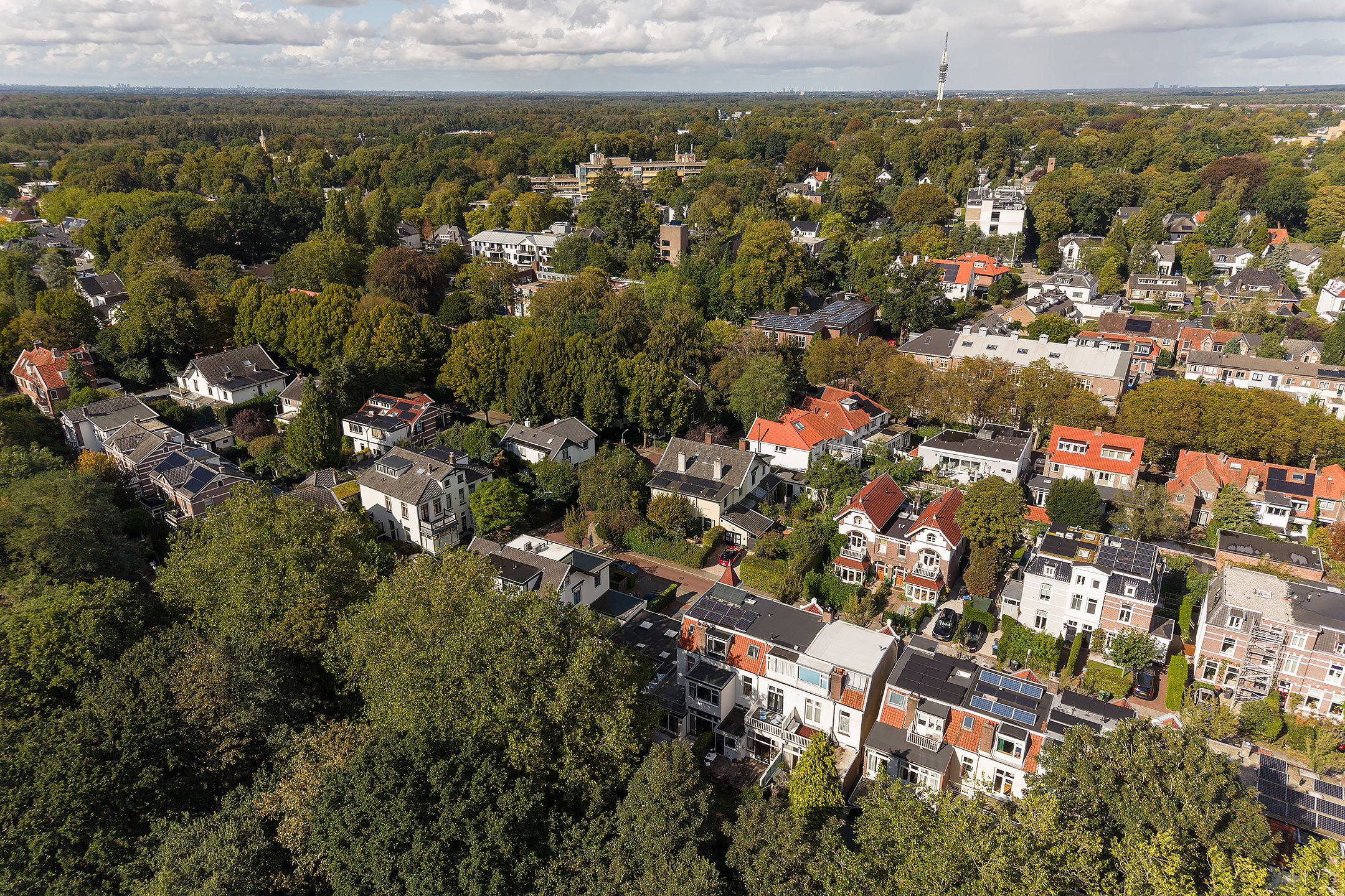 Photo 36 of Otto'slaan 2