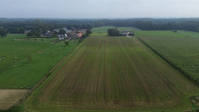 Bekijk foto 4 van Vosseneindseweg