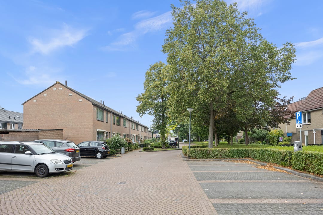 Foto 41 van Willaertpark 36