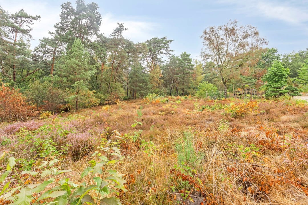 Foto 43 van Stiemensweg 190