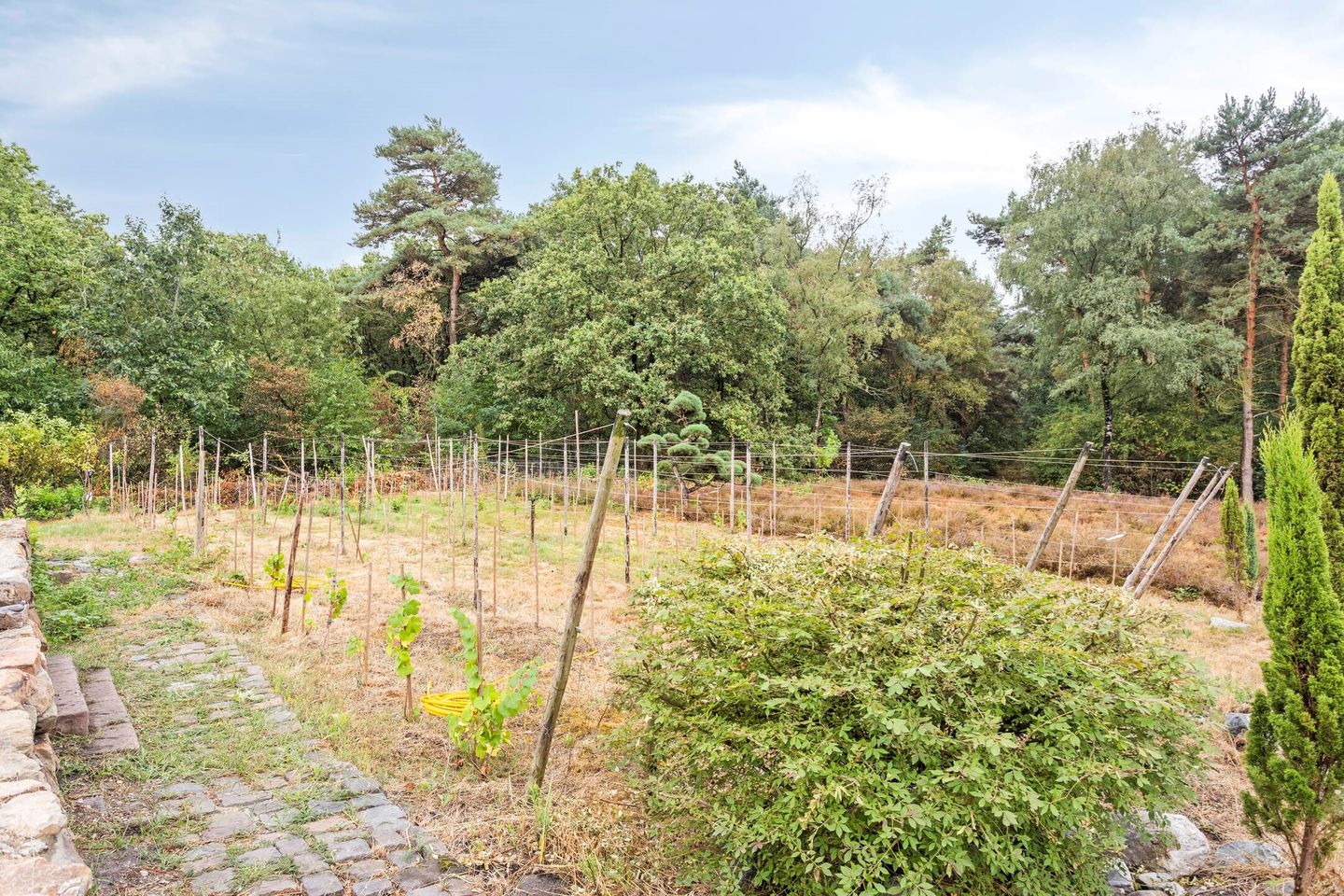 Foto 44 van Stiemensweg 190
