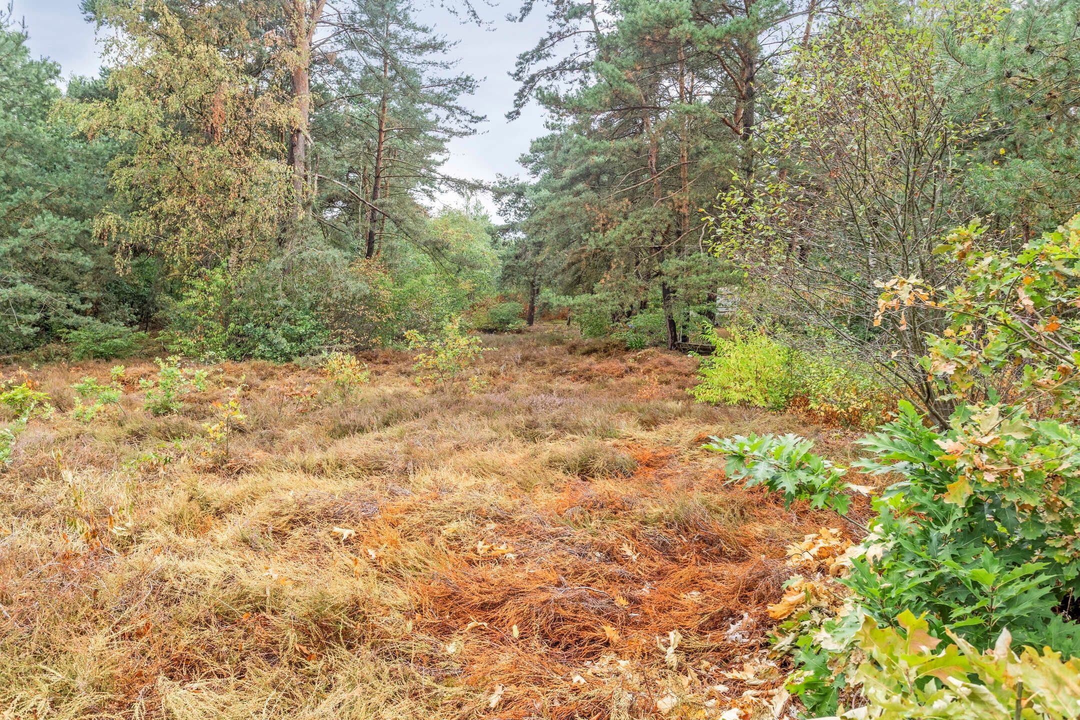 Foto 45 van Stiemensweg 190