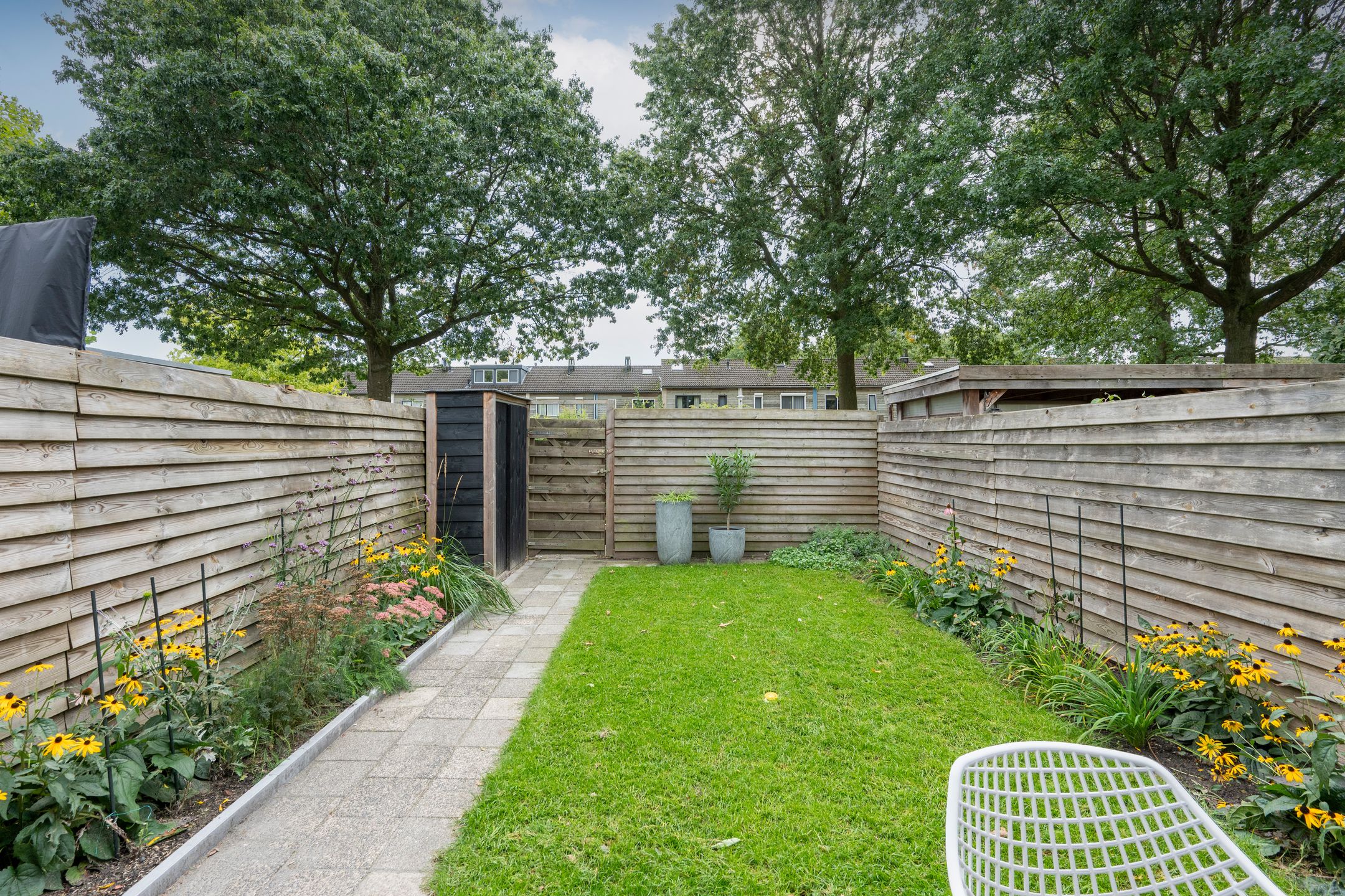 Foto 24 van Rietmees 85