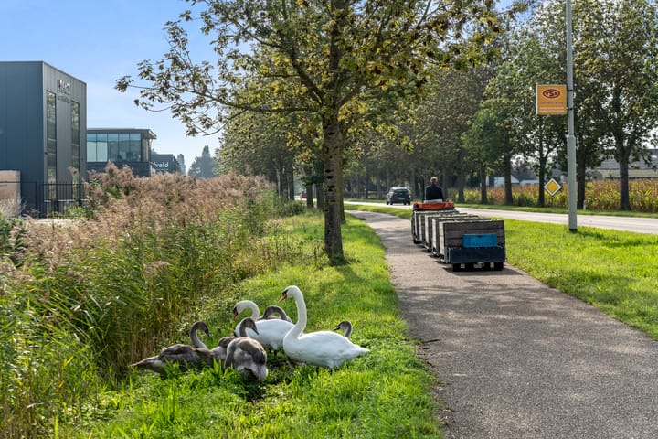 Energieweg 58-017, Druten