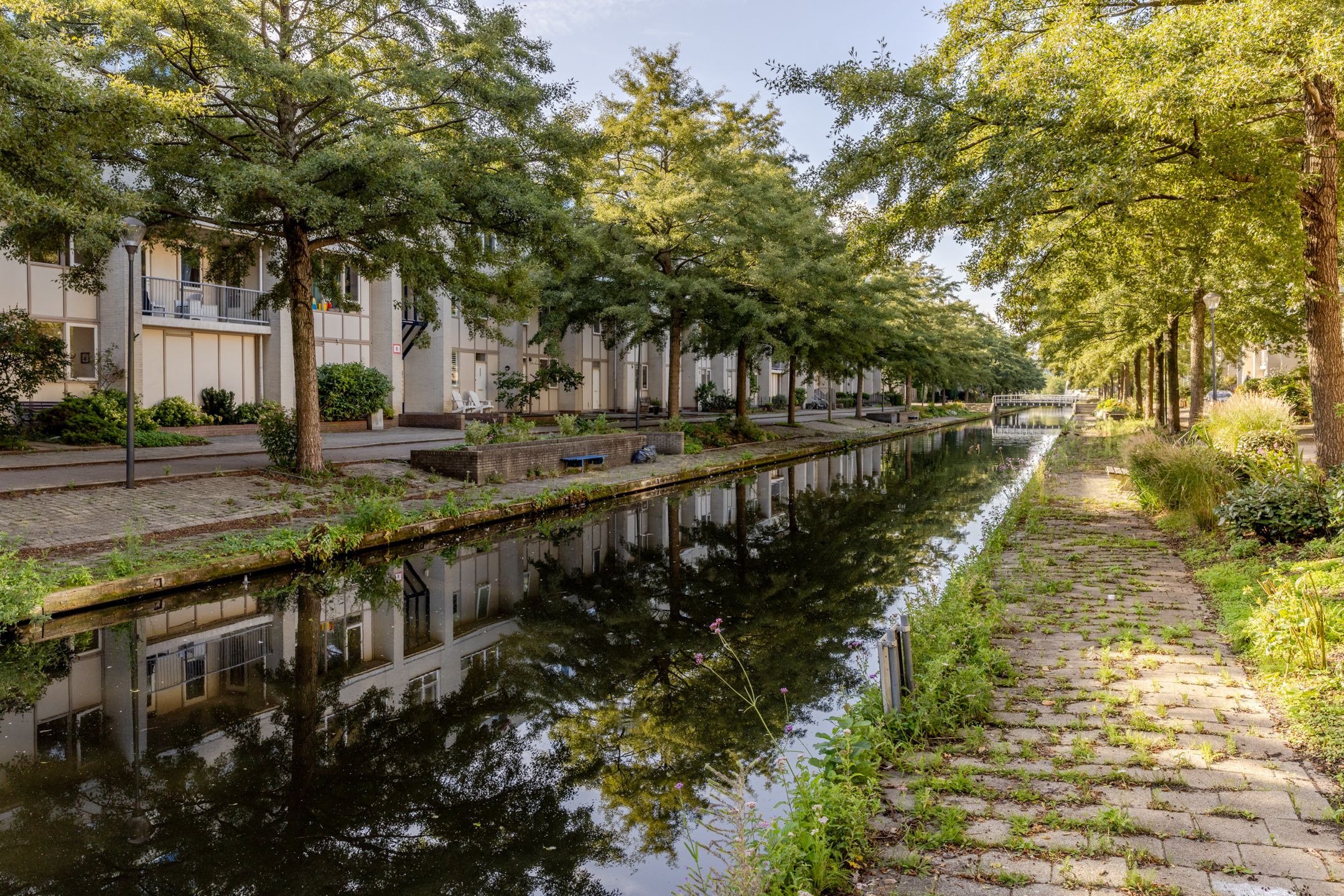 Photo 27 of Charta 77-Vaart 45